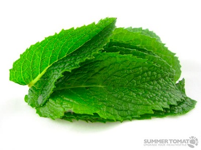 Swipemint title
