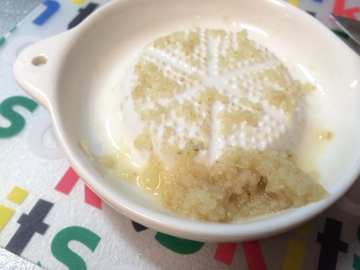 摩り下ろし生姜